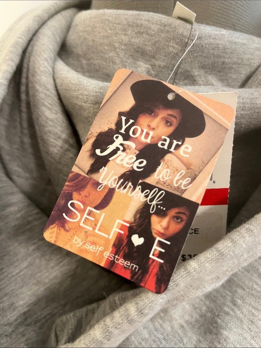 Self Esteem Light Grey Hoodie with Tag - Picture 2 of 5